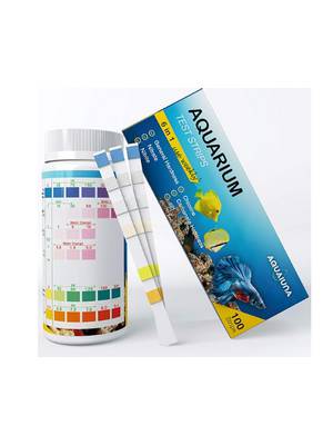 pH-mètre Électronique Précision