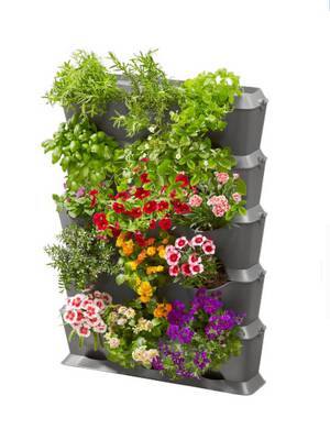 Kit Aquaponie Design pour Appartement